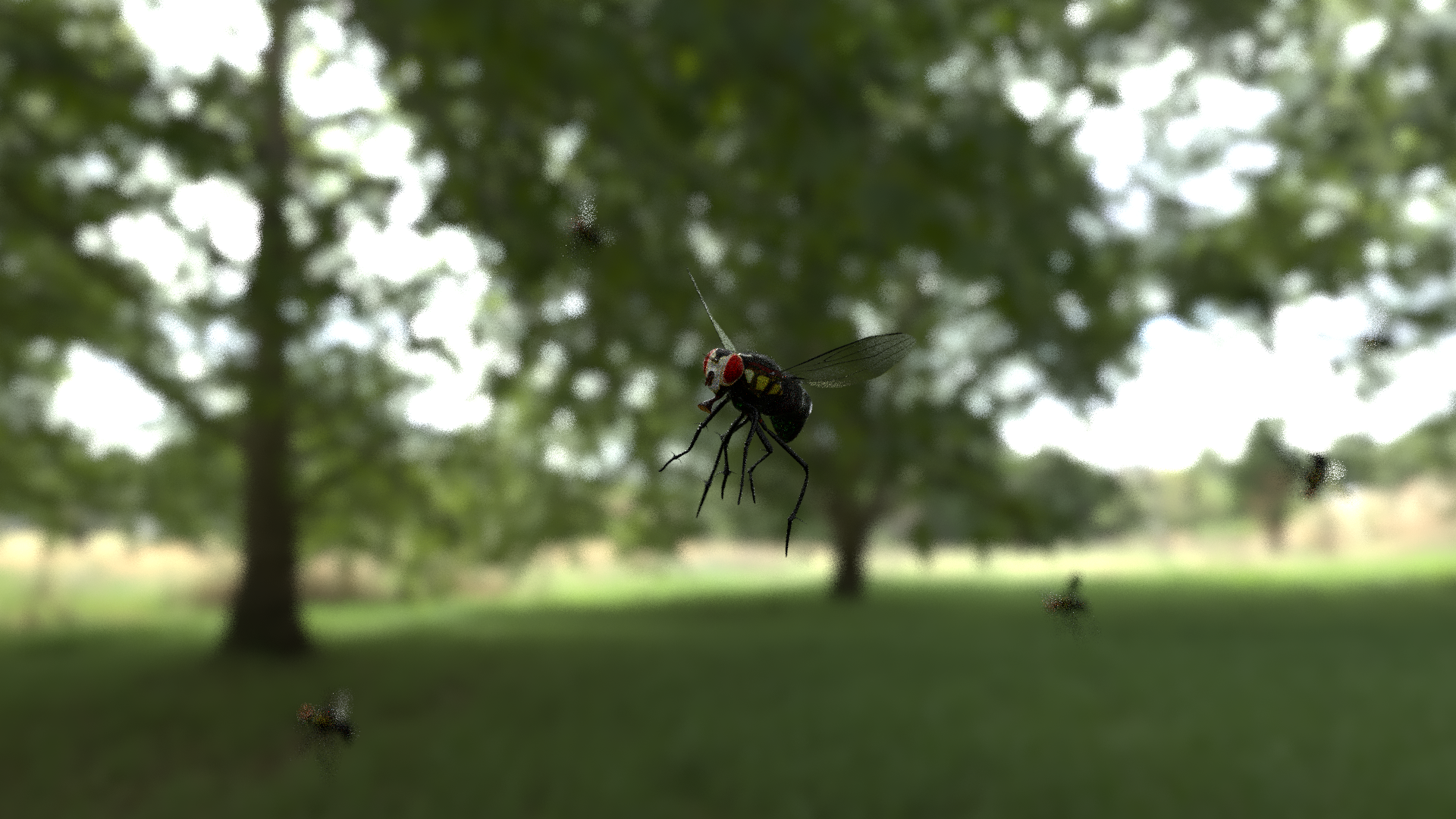 swarming flies  preview image 2